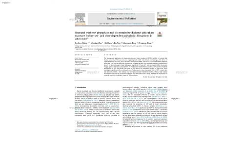 Neonatal triphenyl phosphate and its metabolite diphenyl phosphate exposure induce sex- and dose-dependent metabolic disruptions in adult mice*
